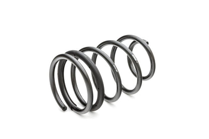 Eibach Pro - Kit Performance Springs (05 - 10 Ford Mustang) - Eibach