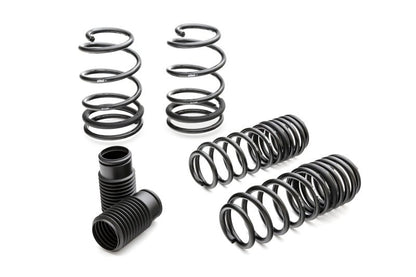 Eibach Pro - Kit Performance Springs (07 - 14 Ford Mustang Shelby GT500) - Eibach