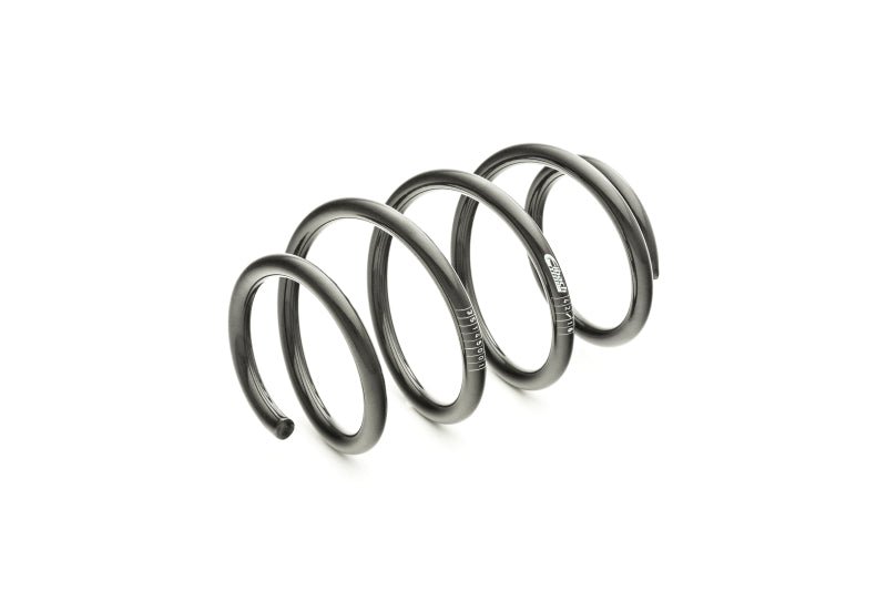 Eibach Pro - Kit Performance Springs (15 - 21 Ford Mustang GT) - Eibach