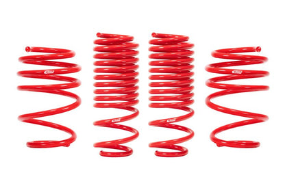 Eibach Sportline Kit (17 - 21 Honda Civic Type - R) - Eibach