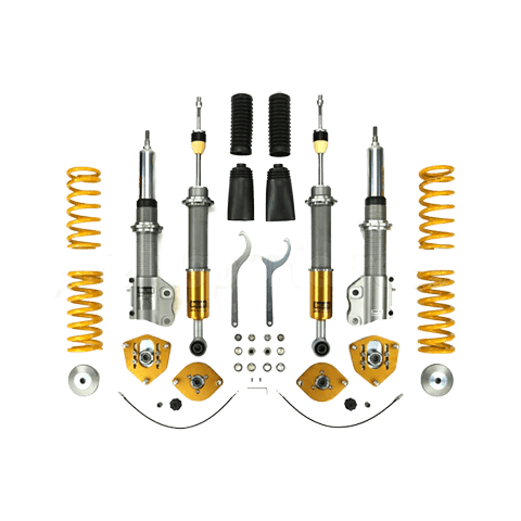 Ohlins Road & Track Coilover System (Evo X) - Ohlins