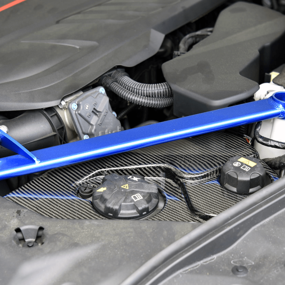 Rexpeed Carbon Fiber Coolant Cover (MK5 Supra) - Rexpeed