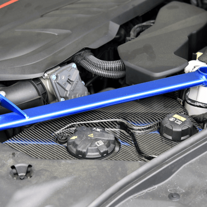 Rexpeed Carbon Fiber Coolant Cover (MK5 Supra) - Rexpeed