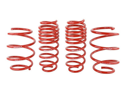 Skunk2 Lowering Springs (16 - 21 Honda Civic) - Skunk2 Racing