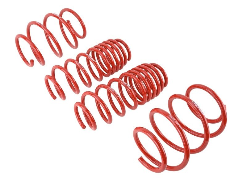 Skunk2 Lowering Springs (16 - 21 Honda Civic) - Skunk2 Racing