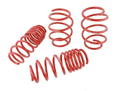 Skunk2 Lowering Springs (16 - 21 Honda Civic) - Skunk2 Racing