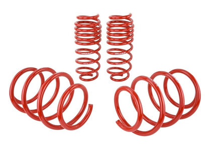 Skunk2 Lowering Springs (16 - 21 Honda Civic) - Skunk2 Racing